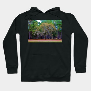 Pine Tree Landscape Hoodie